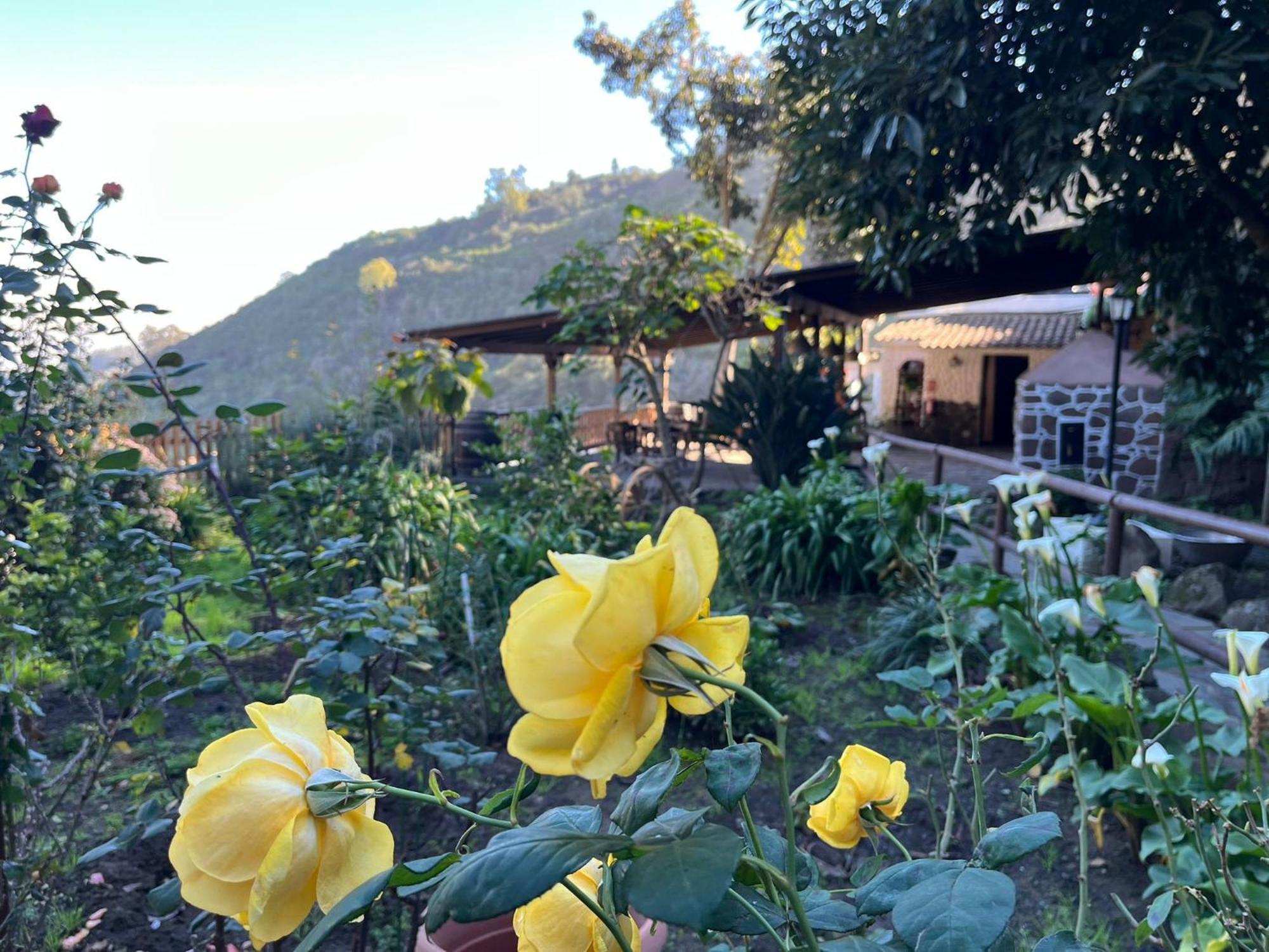 Finca Los Arcos Del Laurel Moya  Exterior photo