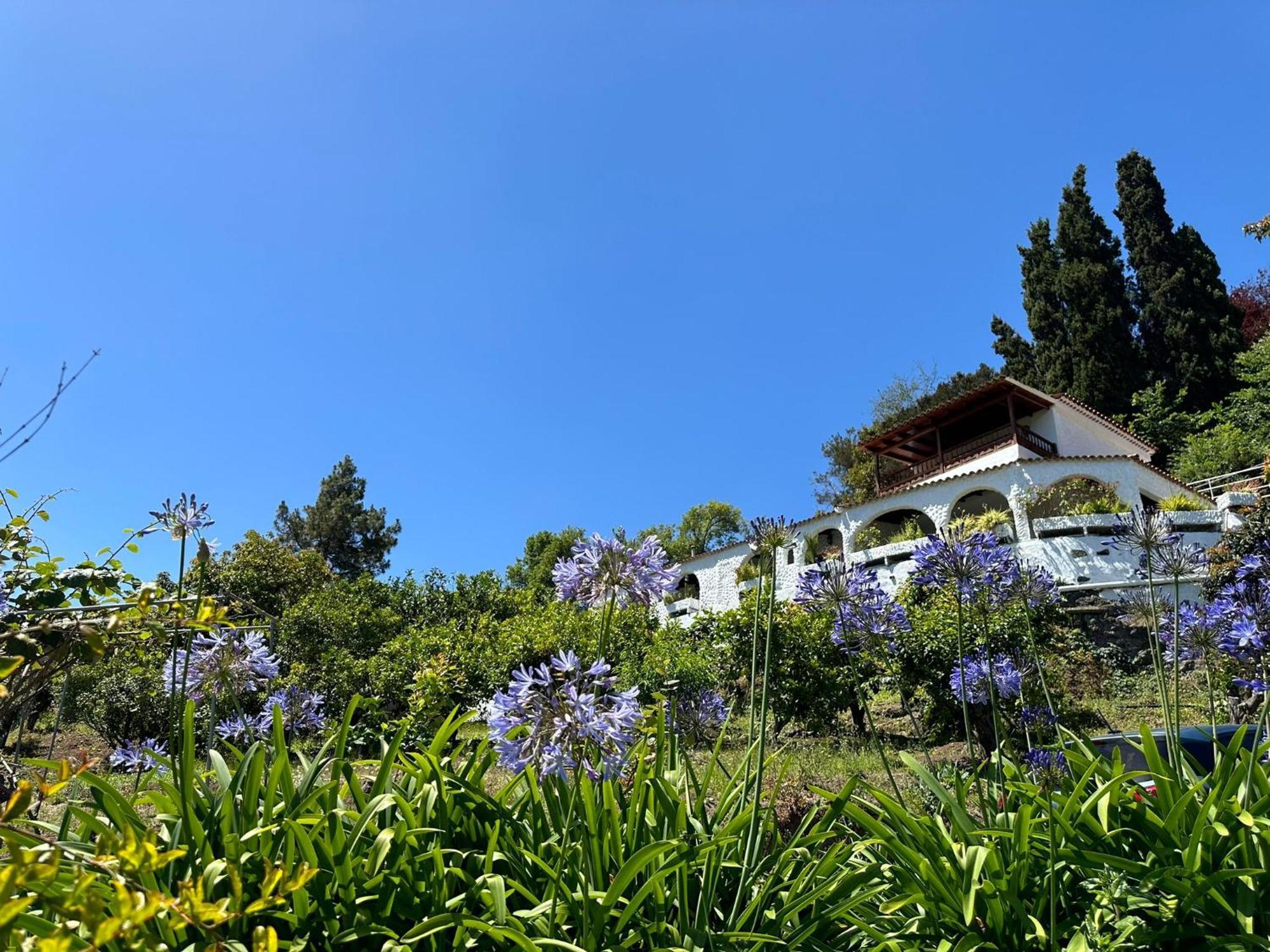 Finca Los Arcos Del Laurel Moya  Exterior photo